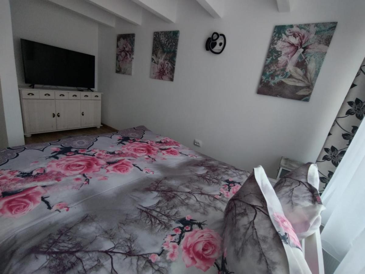 Apartament Alyosha Sighişoara Buitenkant foto