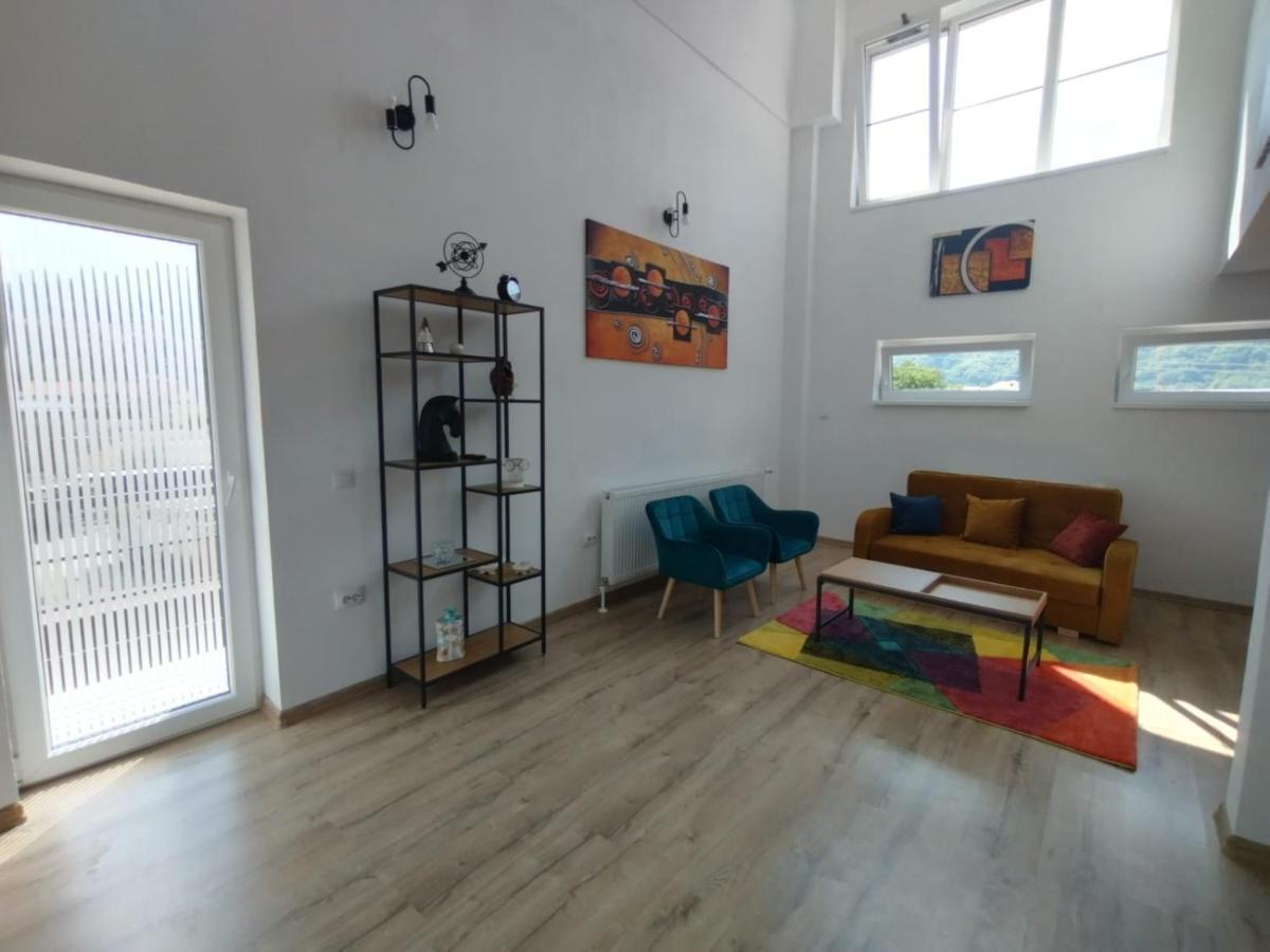 Apartament Alyosha Sighişoara Buitenkant foto